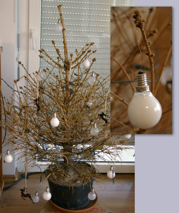 weihnachtsbaum